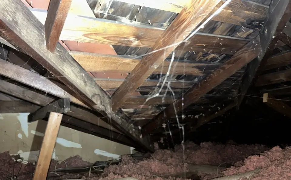 Attic framing and insulation seen during an inspection